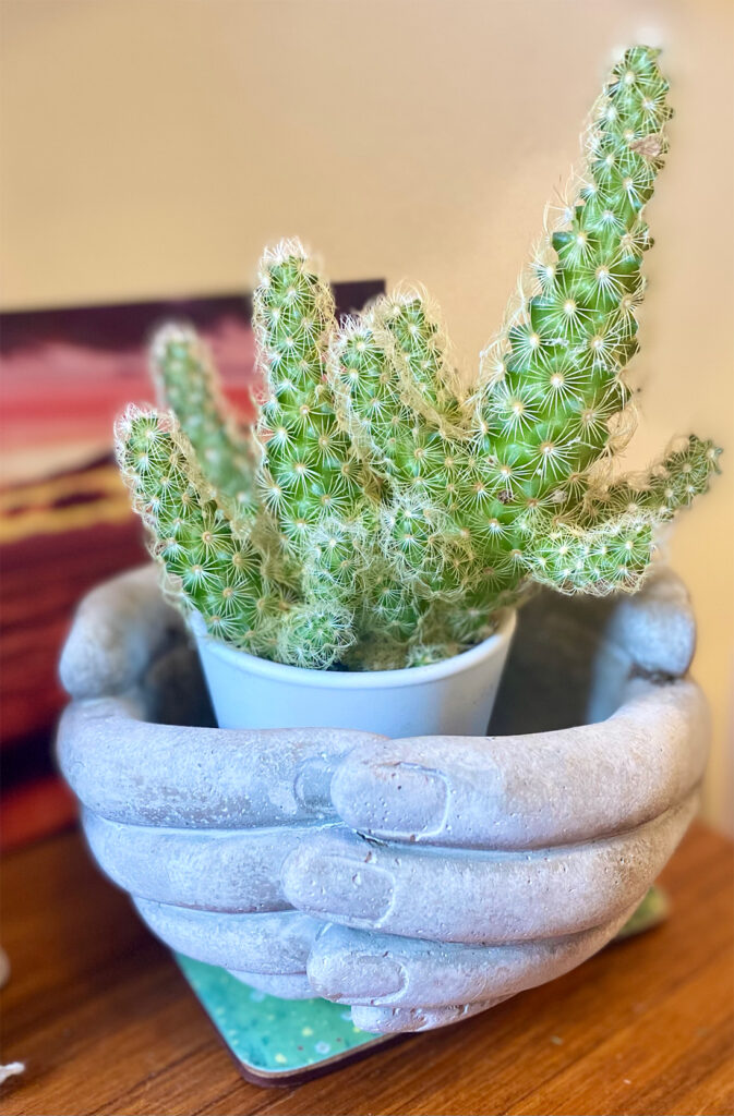 embracing hands flower pot holding a cactus